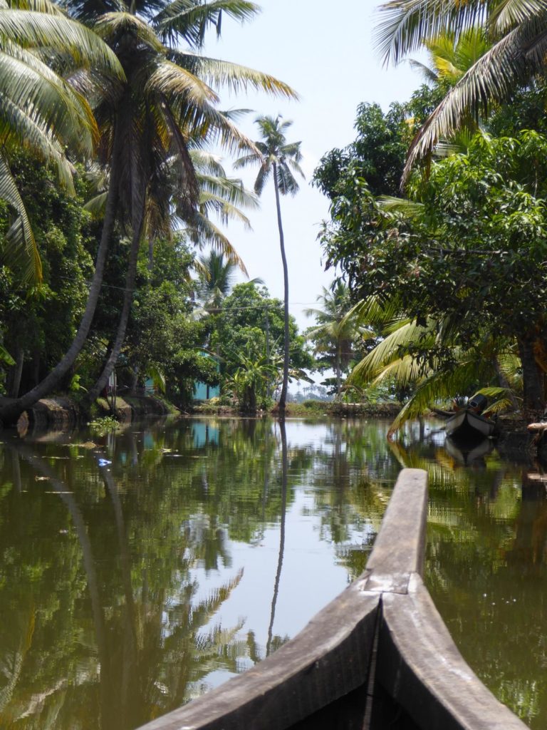 Backwaters Kerala mit dem Kanu. Ein Traum. Also nein, nicht Traum. Wir waren wirklich da. Aber es war halt so schön, wie sonst nur in Träumen. Egal. Ihr wisst, was ich meine.